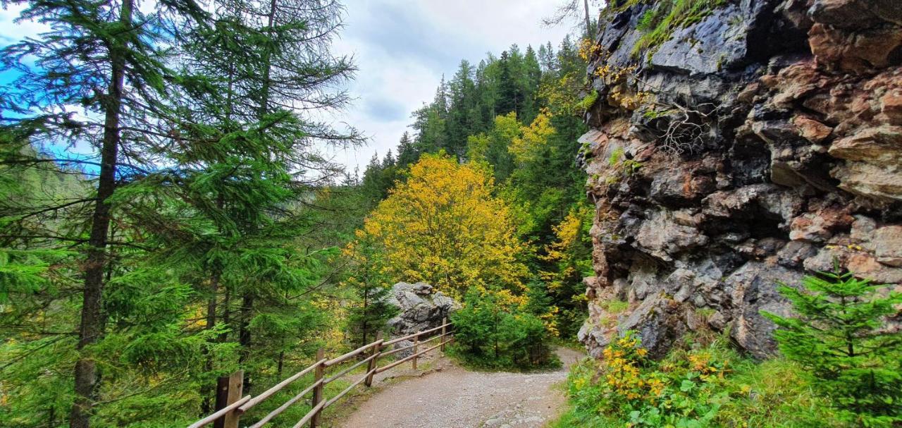 Drevenica Borovianka Villa Velke Borove Luaran gambar