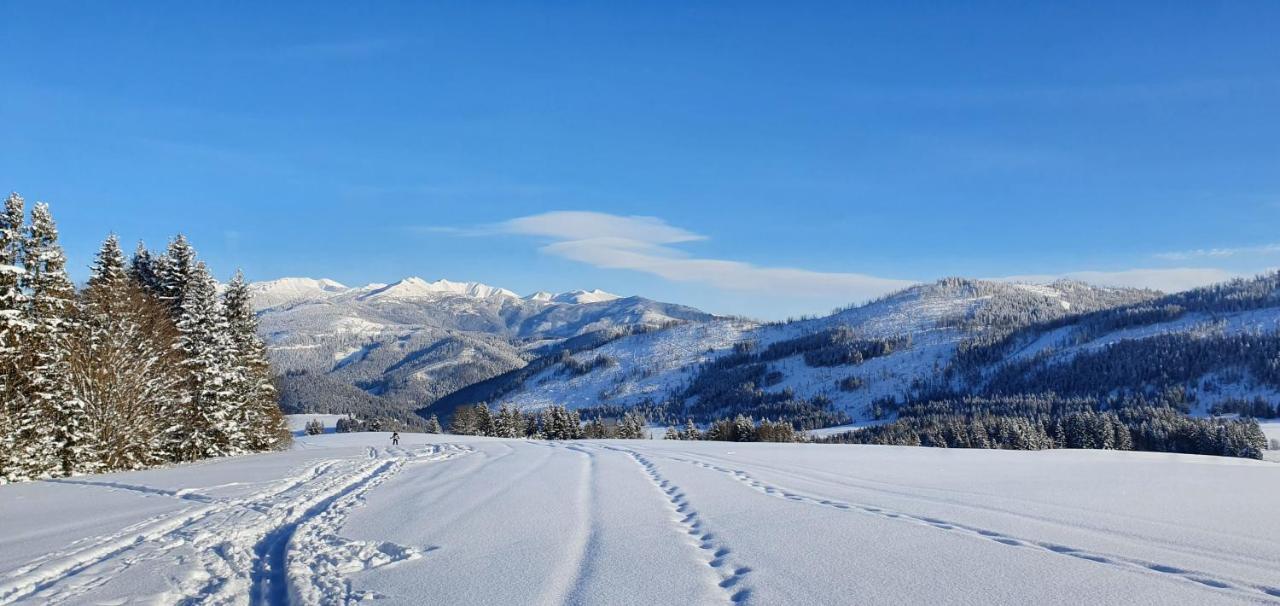 Drevenica Borovianka Villa Velke Borove Luaran gambar